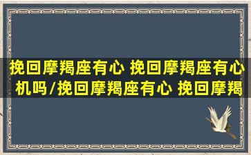 挽回摩羯座有心 挽回摩羯座有心机吗/挽回摩羯座有心 挽回摩羯座有心机吗-我的网站